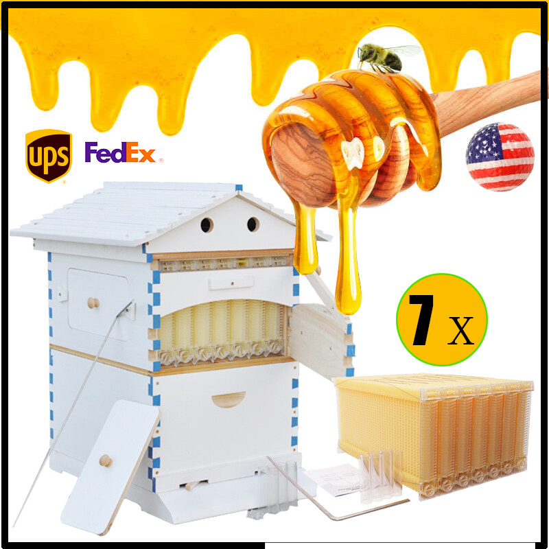 2026 Auto Bee Hives Beekeeping Starter Kit Bee Box + 7 Plastic Beekeeping Frames