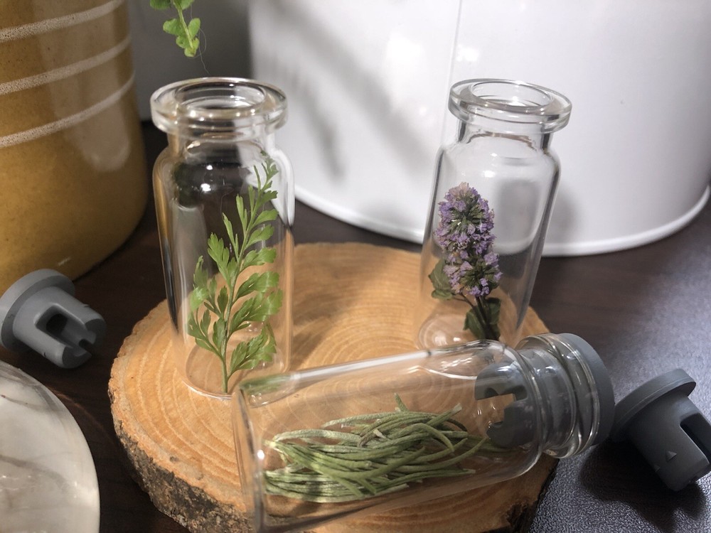 10ml Glass Vials (12 Pack)