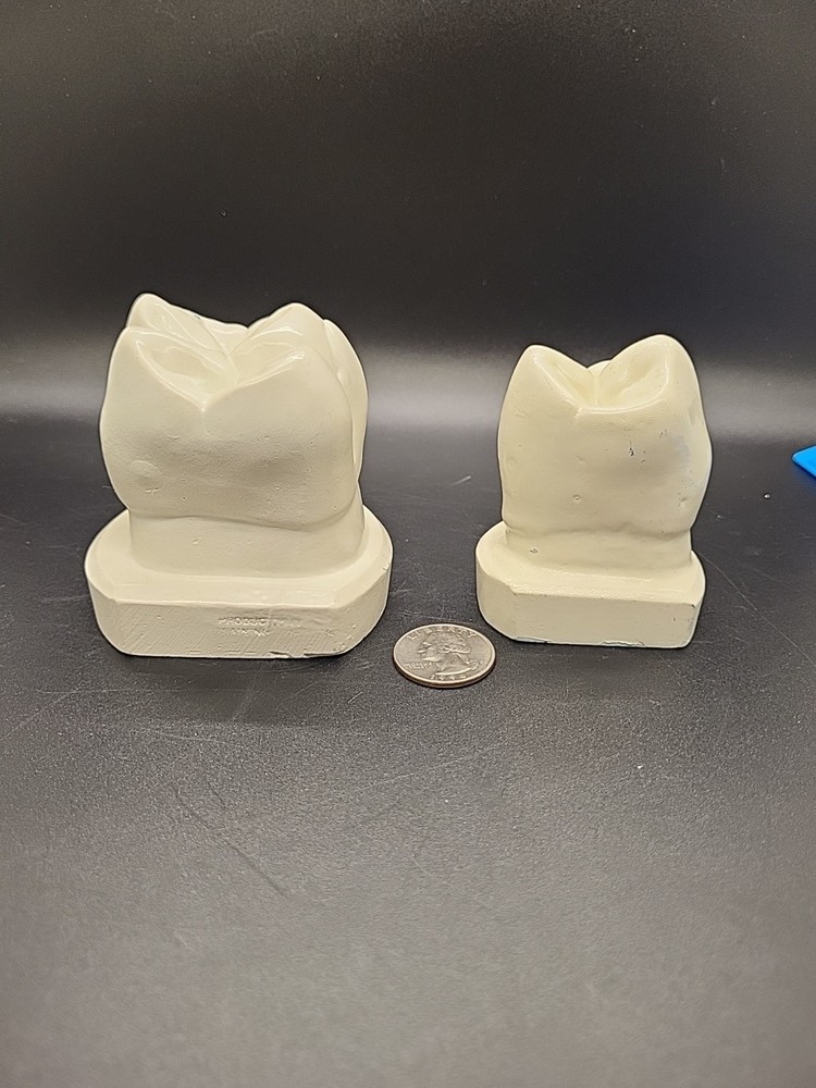 Two Weird Tooth Models 1970's