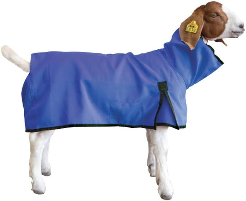 Weaver Livestock Goat Blanket, Large, Blue
