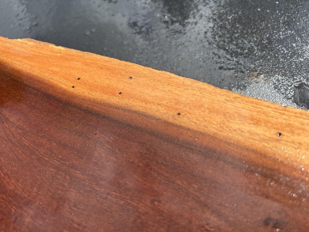 Hawaiian Milo Board #12270