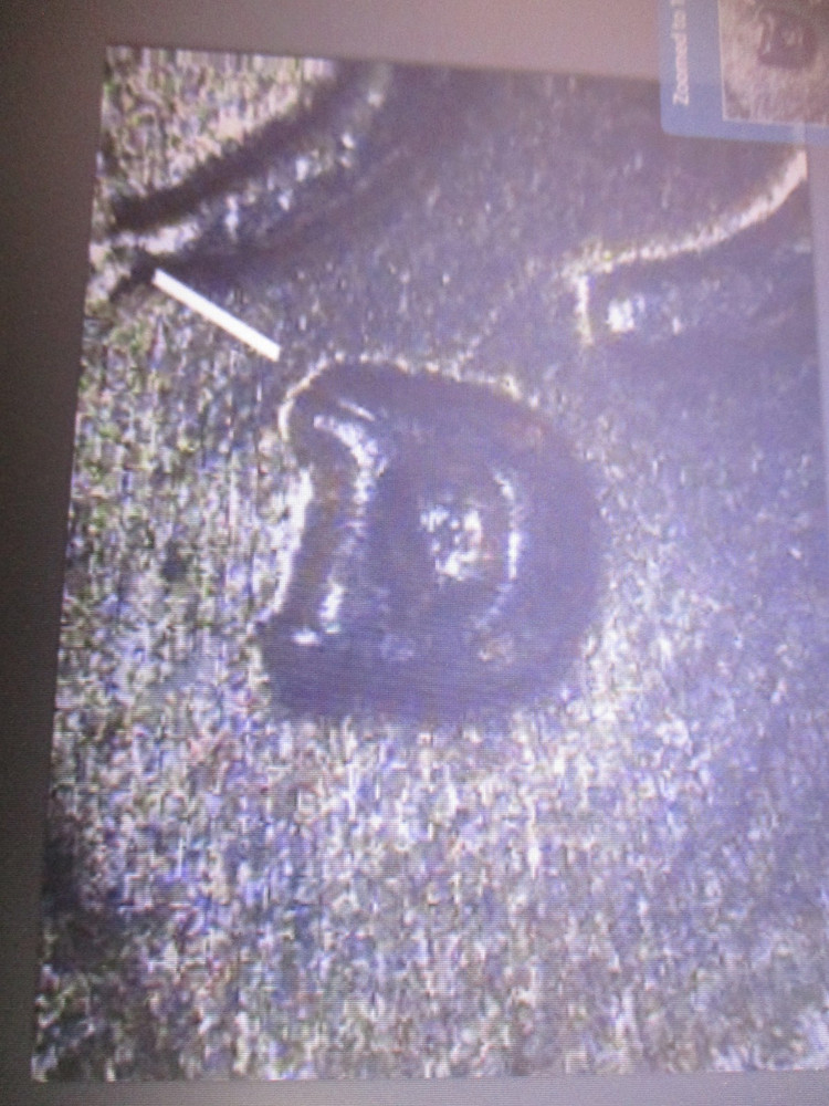 1951-D LINCOLN CENT RPM GEM     OPL