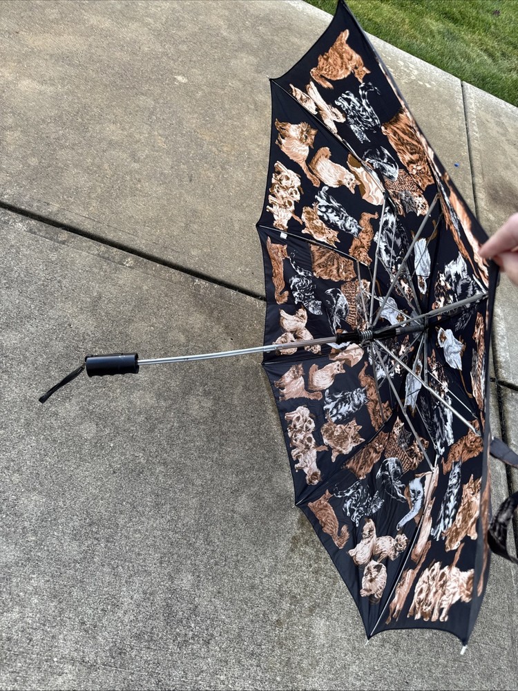 Cat Design Umbrella