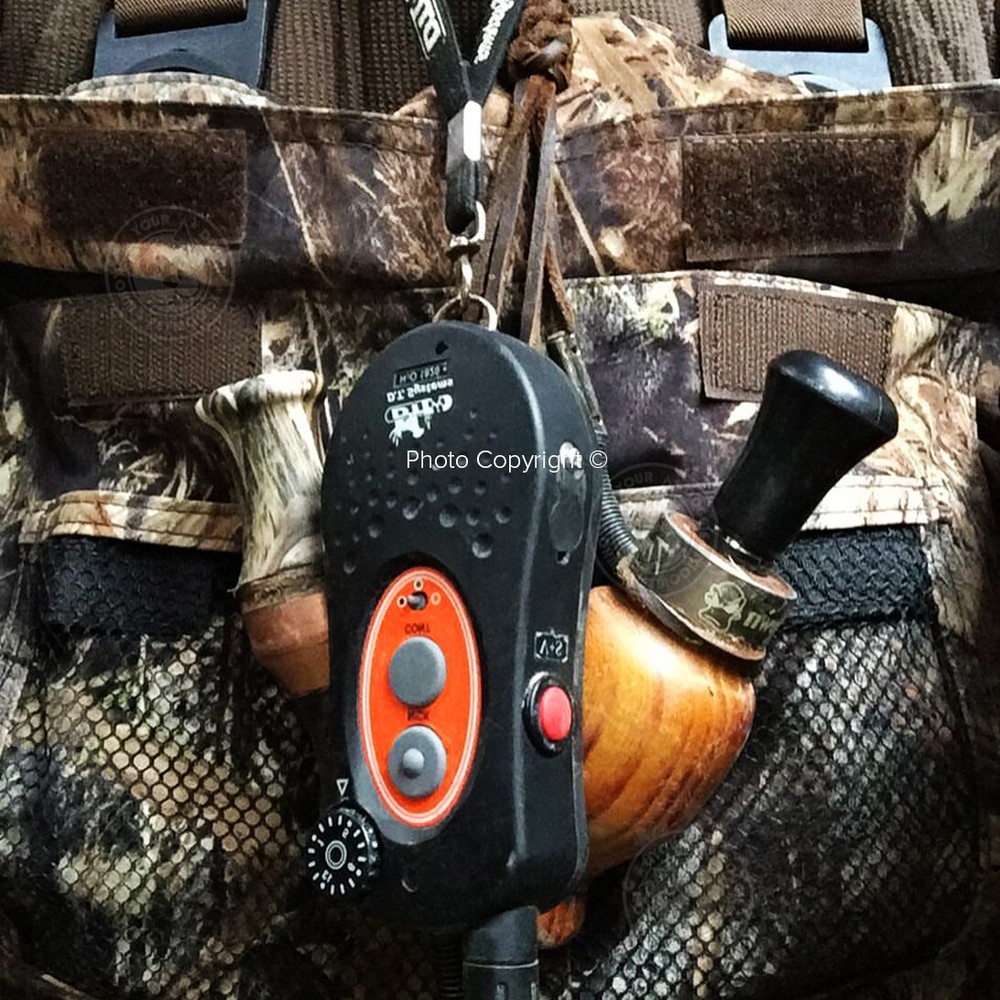 DT Systems H2O 1850 PLUS Remote Dog Trainer Beeper