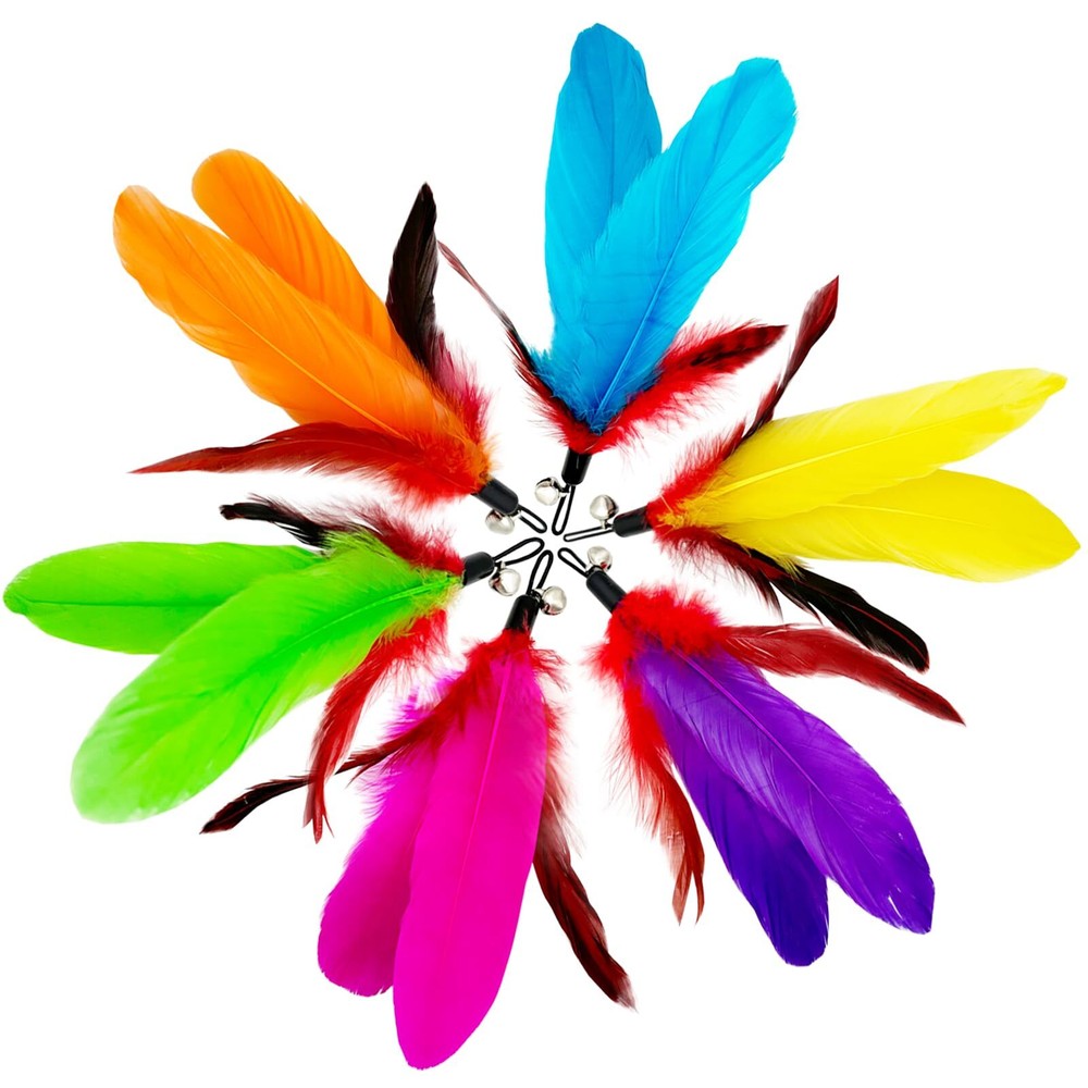 Cat Wand Replacement Feathers Assorted Colors and Sizes Keeps Cats Entertained