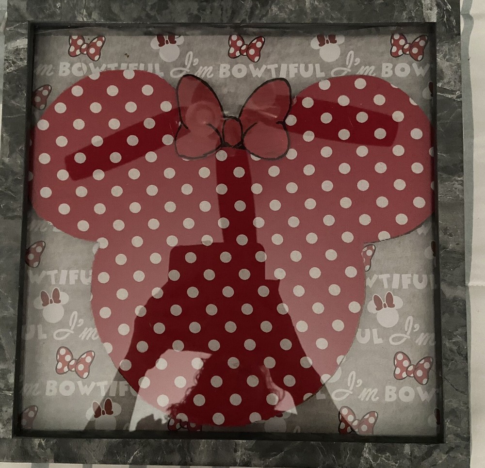 mickey Or Minnie mouse Custom Pin Displays