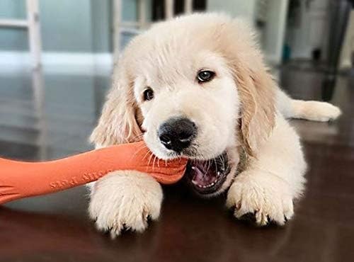 Jolly Pets Jolly Bone Durable Interactive Float Chew Dog Toy Orange XLarge