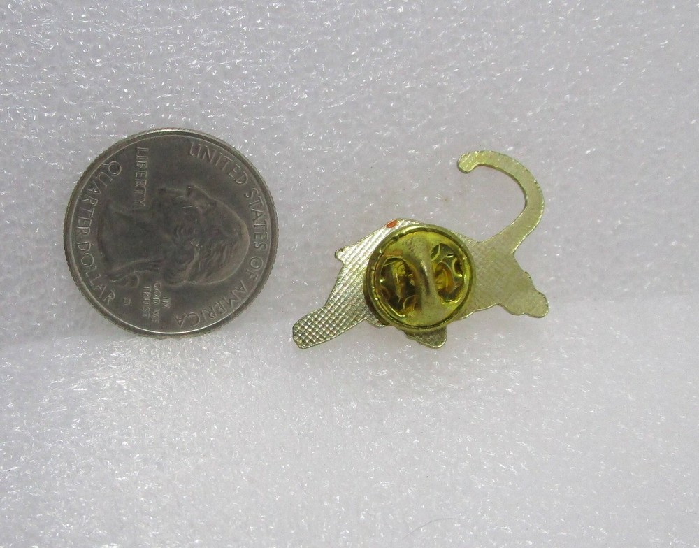 Orange Tiger Pin