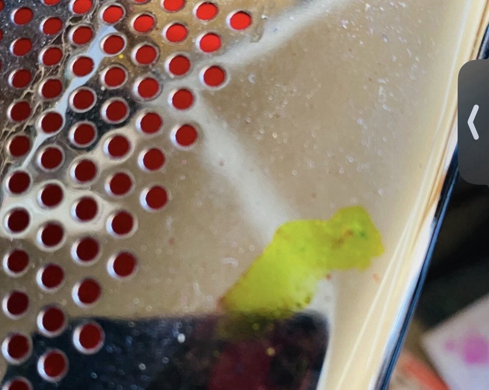 Solvent Green 5 (fluorescent) 125 Grams