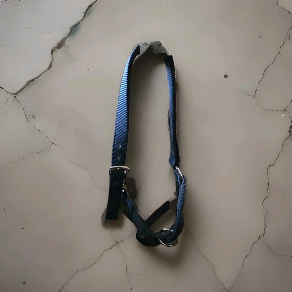 Weaver Barn cow halter Black