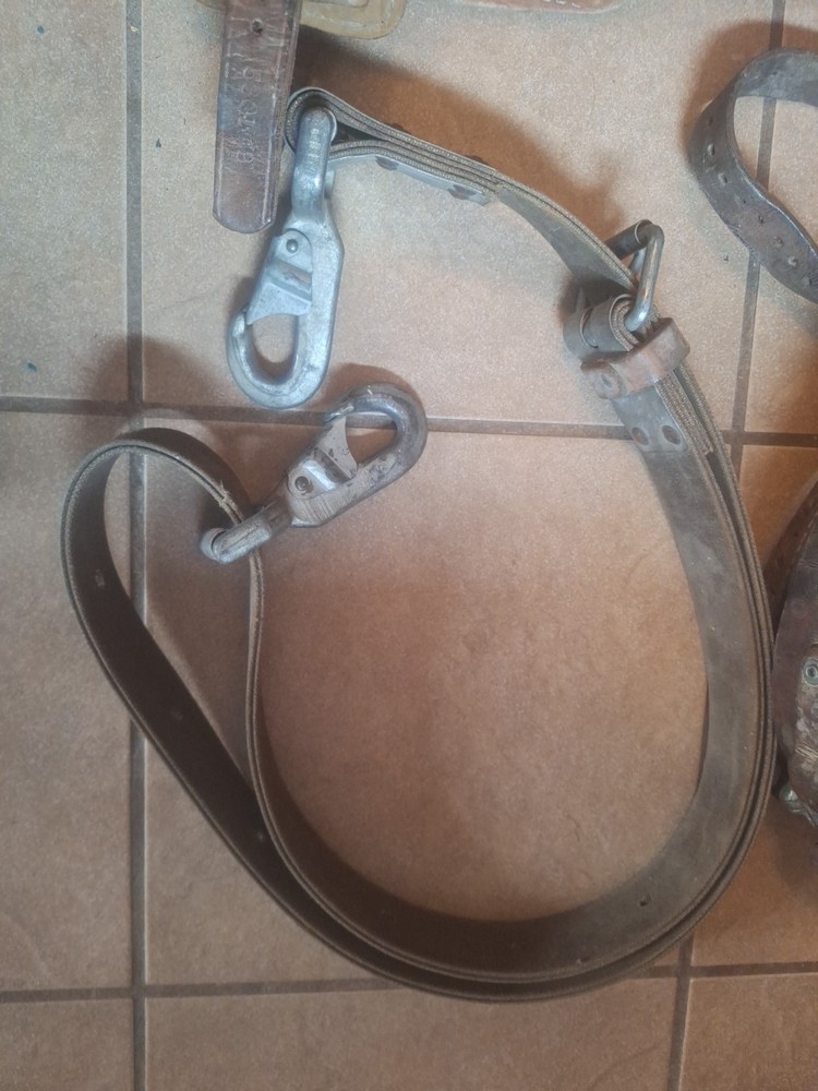 Klein Tree Climbing Spikes Bashlin Linemen Belt