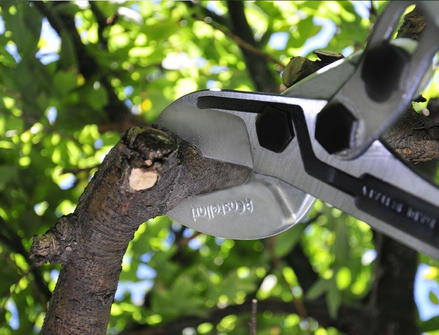 Castellari M80 Professional Anvil Lopper