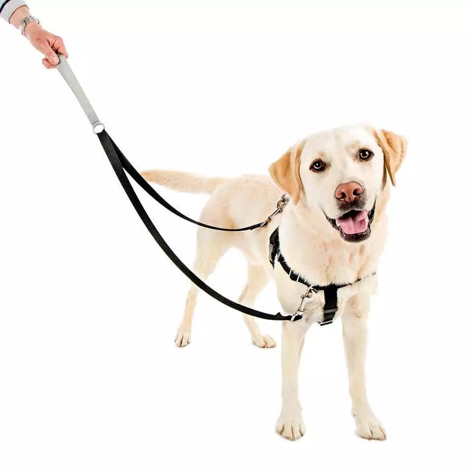 PERSONAL FULL ADJUSTABLE COMFORTABLE NO PULL DOG HARNESS EASY WALKING ALL SIZE