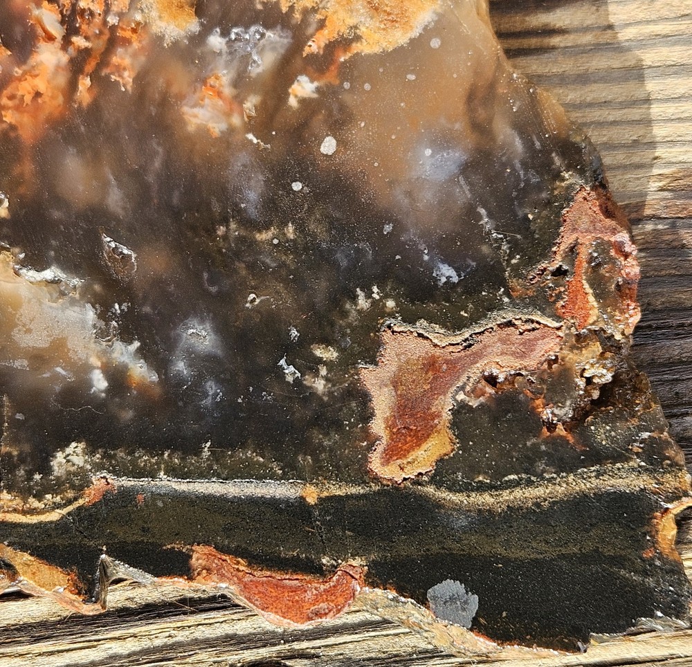 Unknown Lapidary Slab 115 Grams