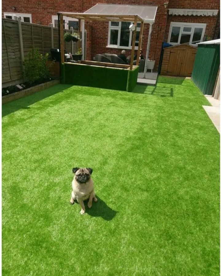 Conscience Trading Artificial Grass 6 FT X 8 FT (48 Square Ft) Synthetic Thick L
