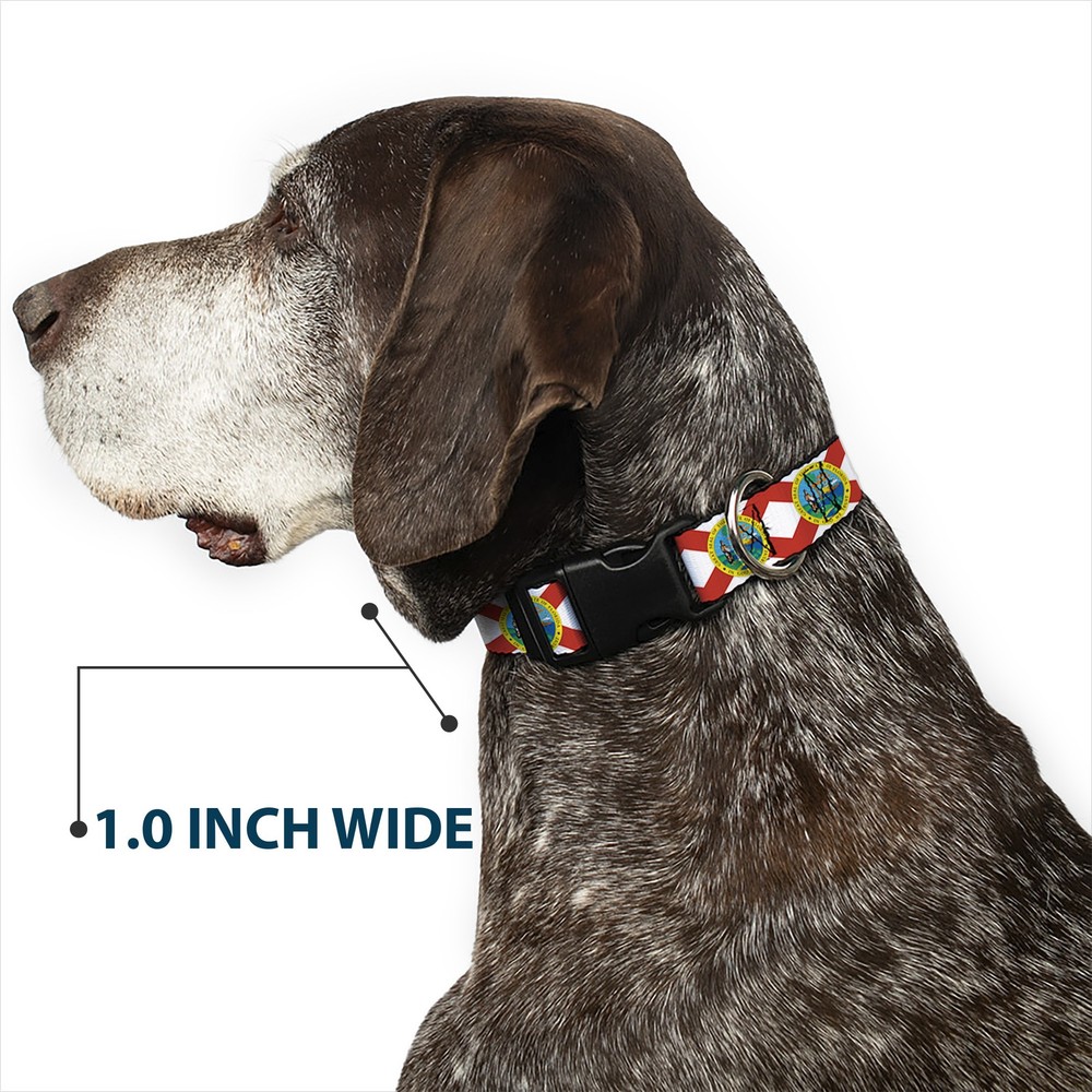 Plastic Clip Collar Florida Flag Continuous Medium 11-16.5"