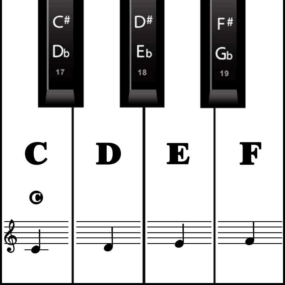 Protective 88-Key Piano Note Stickers: Reusable Labels for Effortless Learning