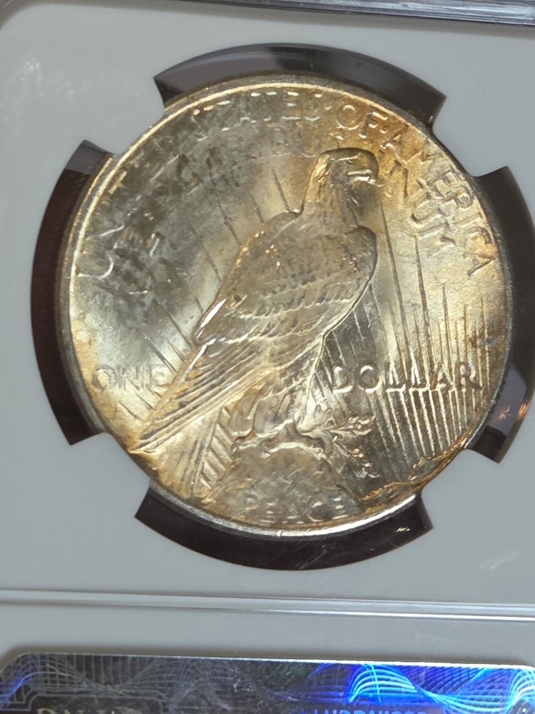 1925 $1 Peace Dollar NGC MS62 Toned