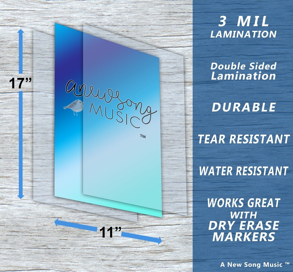 Laminated Tenor Banjo 4 String Fingerboard Wall Chord Chart Poster Notes Chords