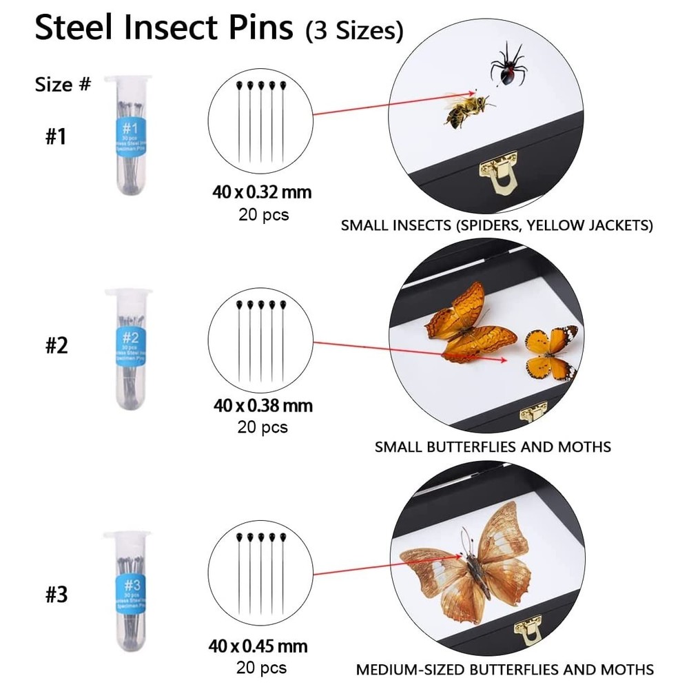 IHEIPYE Insect Display Case Wall Mount Bug Display Case Collection Box for Butte