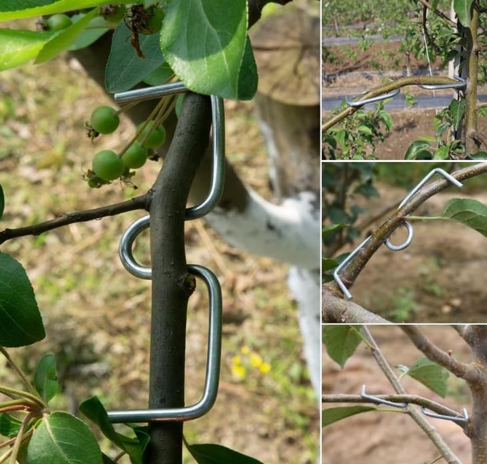 LEILIN Fruit Tree Branch Puller Tying Machine Farm Tools Plum Tree Open Angle...