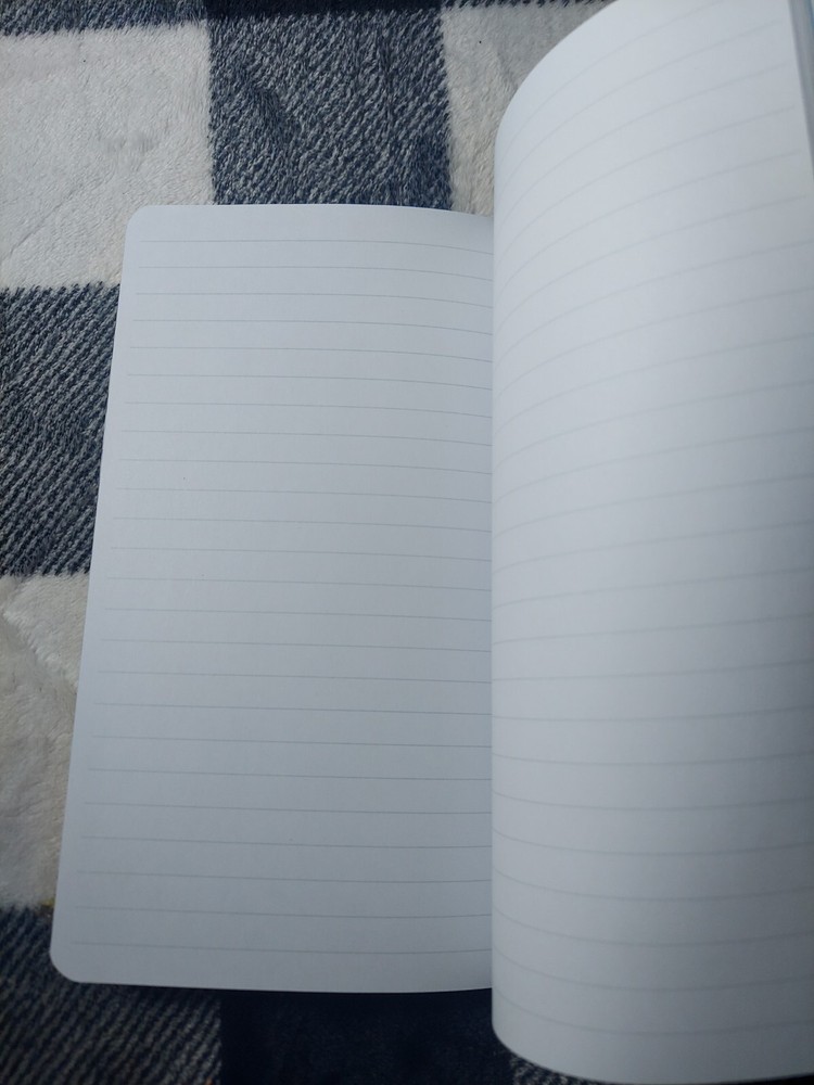 Fearless - Journal