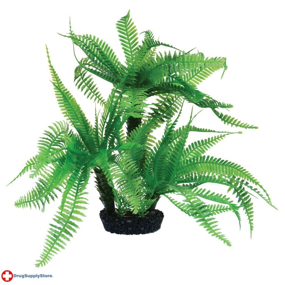 RA Jurassic Fern - 10"
