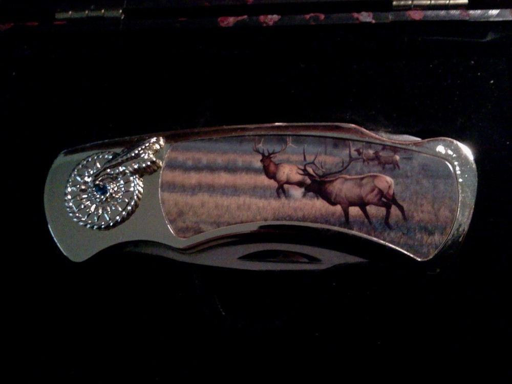 Elk COLLECTORS KNIFE