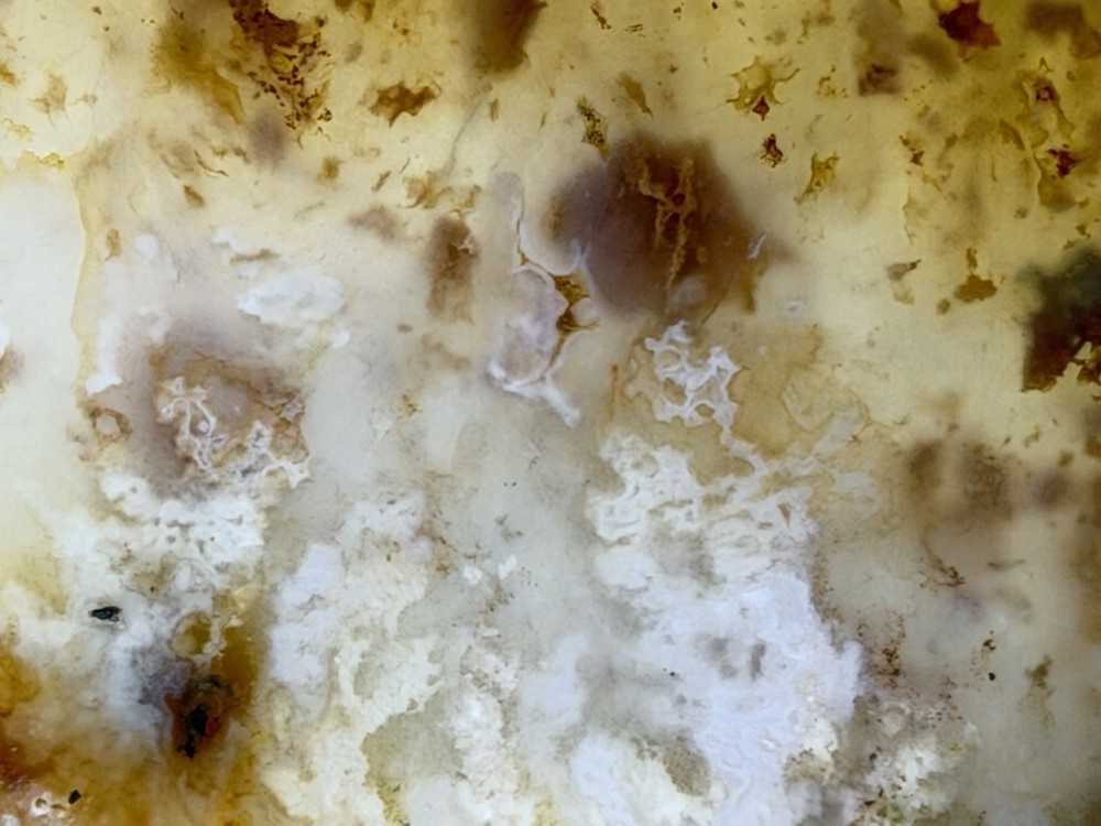 Graveyard Point Plume Slab, Lot#214