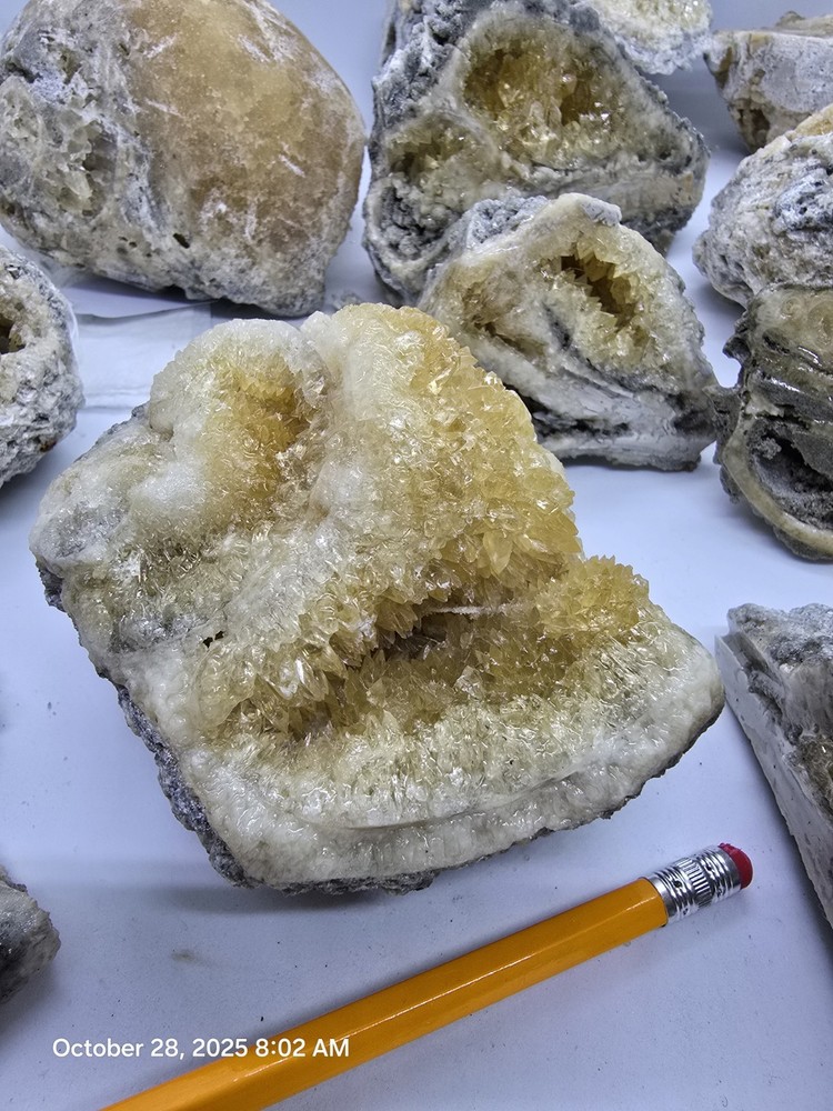 Crystal Shell Calcite Filled 1 million Yr+ Phosphorescent