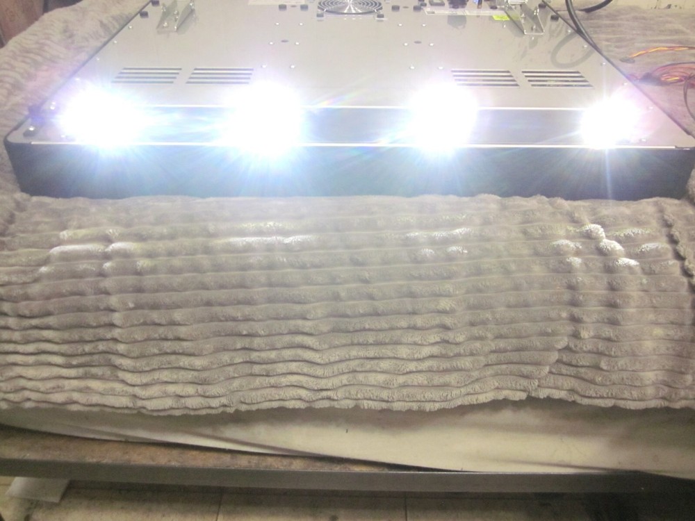 Cornelius 620521775 LED Light