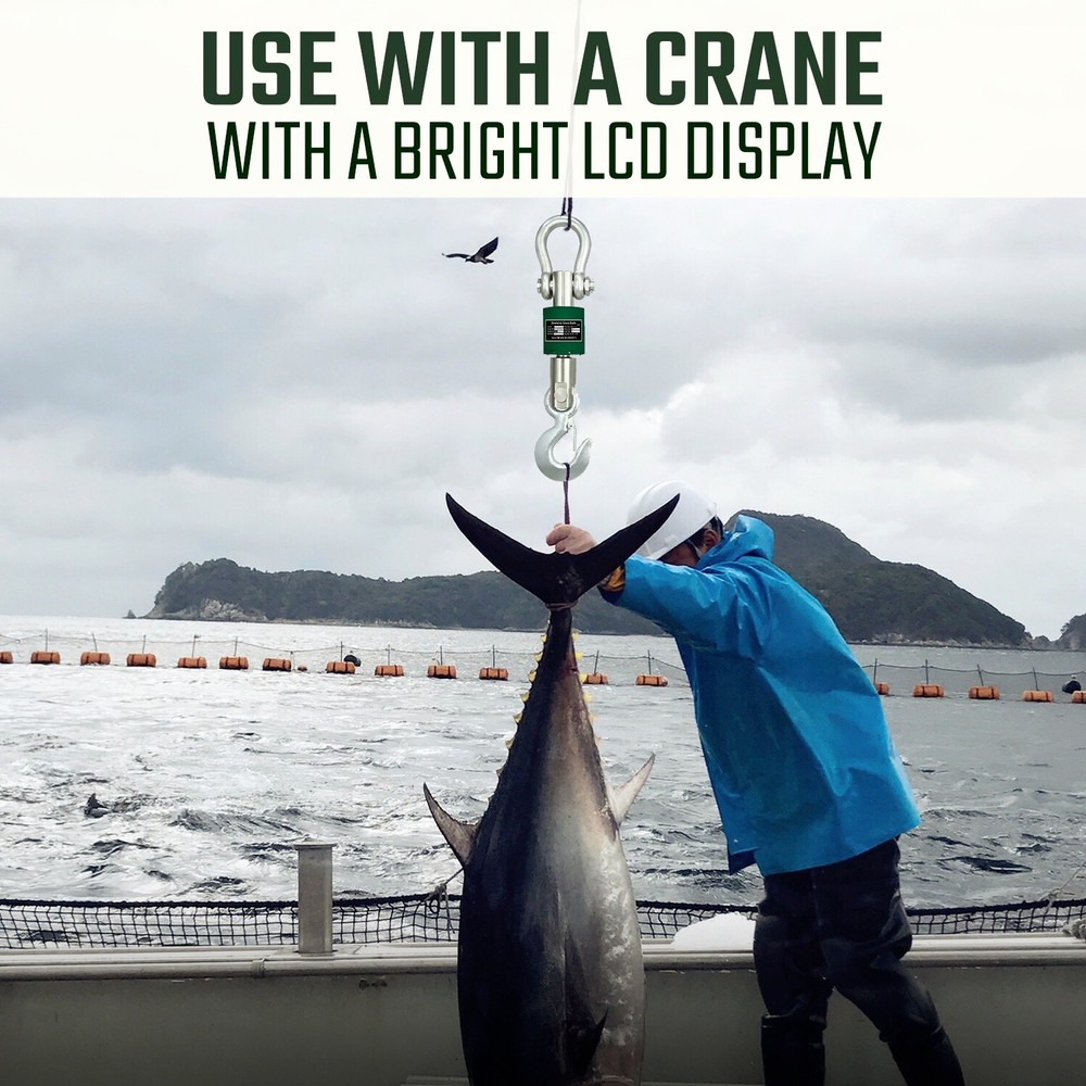 Washdown Safe 10,000 lb Crane Scale LCD with Android App & Certificate