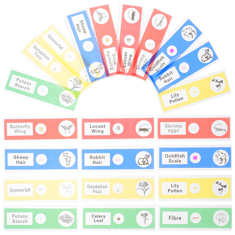 36 Pcs Microscope Slide for Science Education Biology Child