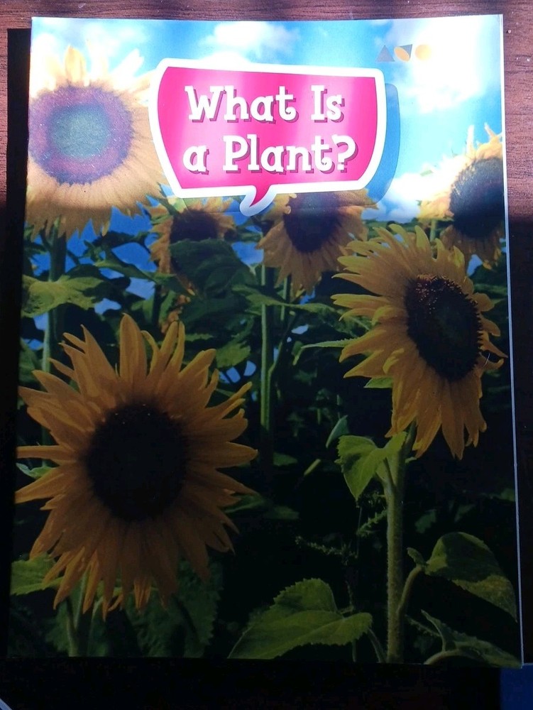 4 Childrens HMH Learning Books