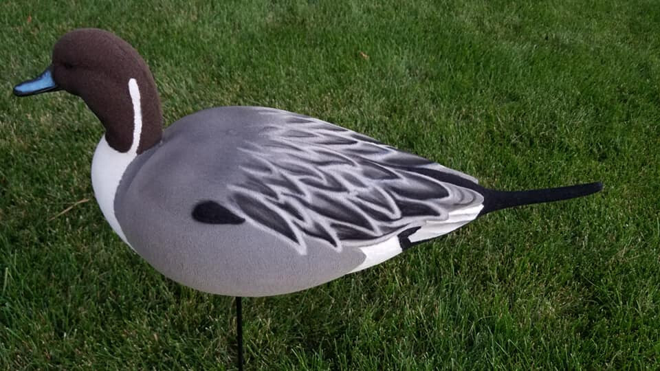 Pintail Decoy Full Body Flocking Kit