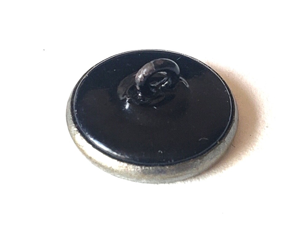 Antique Button Small Rare Victorian Celluloid with TINY INSECT
