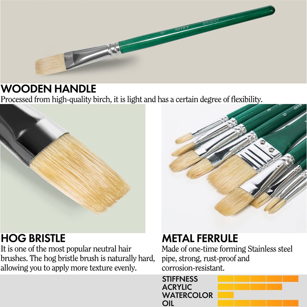 ARTIFY 10 Pieces Paint Brush Set Intermediate Series Includes a Carrying Case...