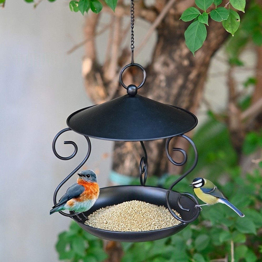 Bird Feeding Container Easy To Clean Exquisite Workmanship High-grade Material