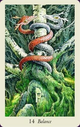 The Wildwood Tarot Card Deck Kit - Deck and Book!