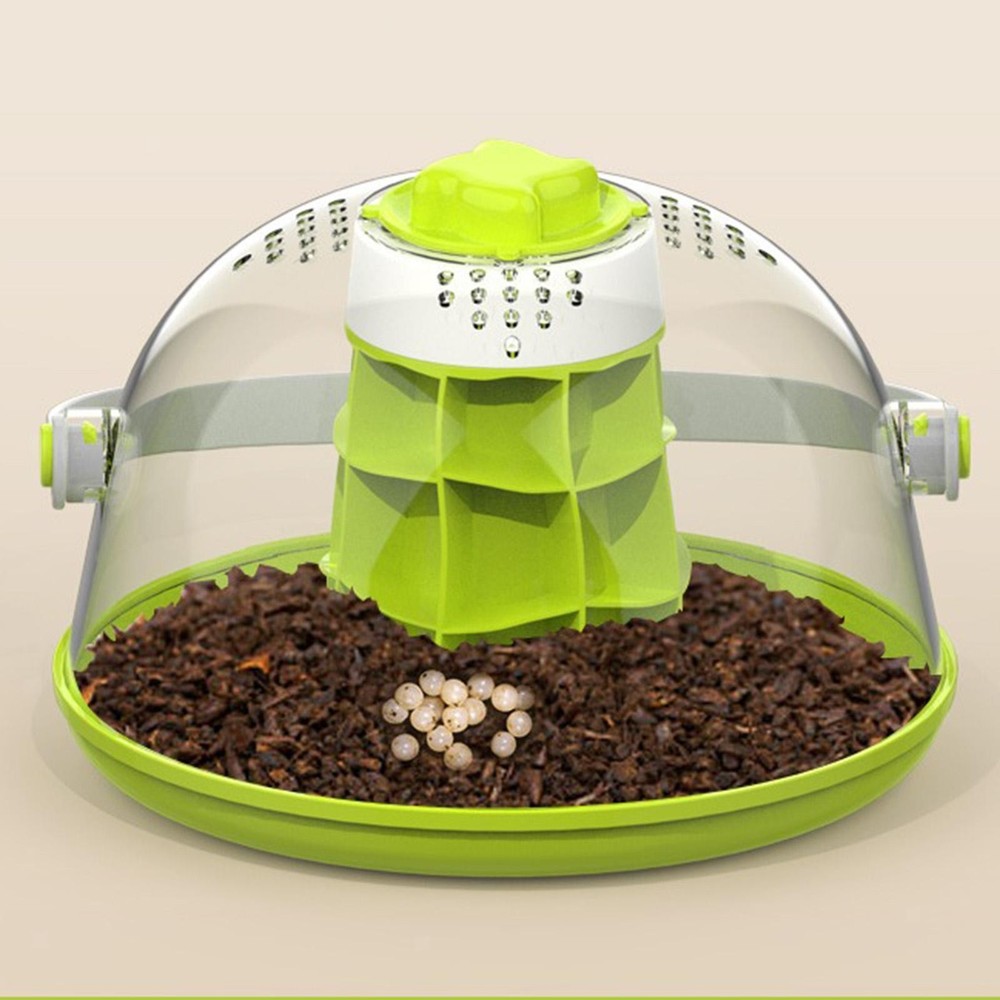 Snails Terrariums Breeding Box Breeding Tank with Handle Science Educational