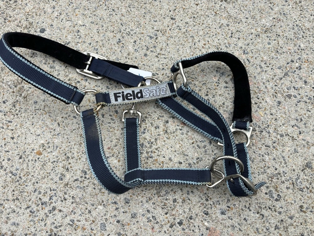 Field Safe Cob Size Halter - Breakaway/Reflective