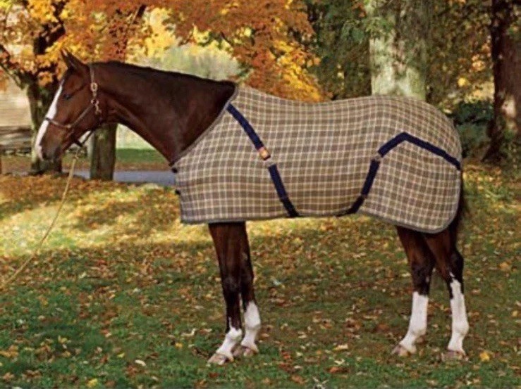 Original Baker Blanket - NWT Horse Blanket, Multiple Sizes