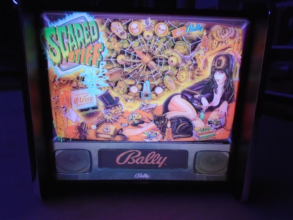 Bally Elvira Scared Stiff Pinball Head LED Display light box