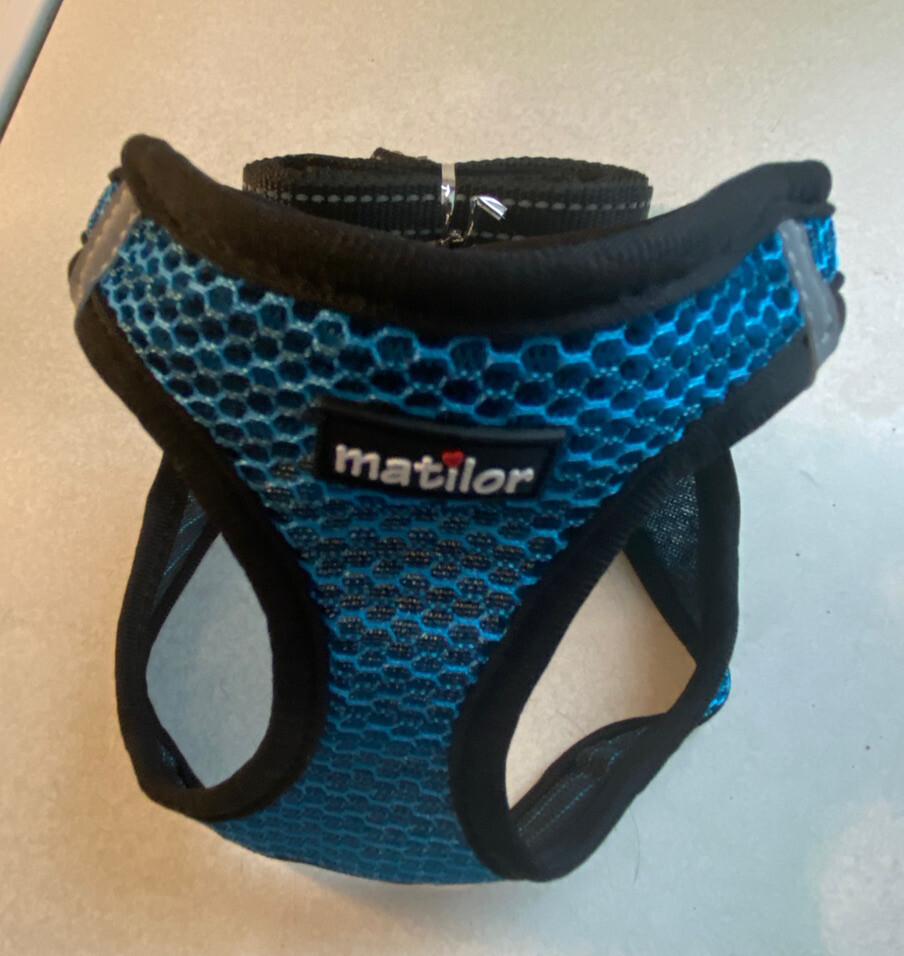 Mesh Blue/Blk Medium Harness And Black Nylon Leash