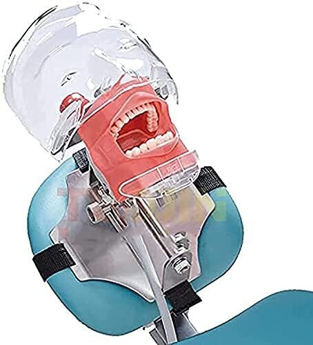 Dental Materials Oral Preparation Model Instruments Tools Simulation Head Molds