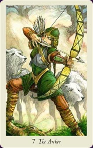 The Wildwood Tarot Card Deck Kit - Deck and Book!