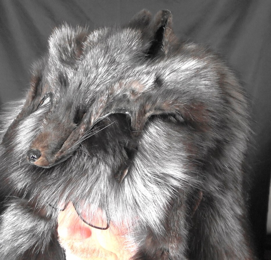 Silver fox fur mountain man hat