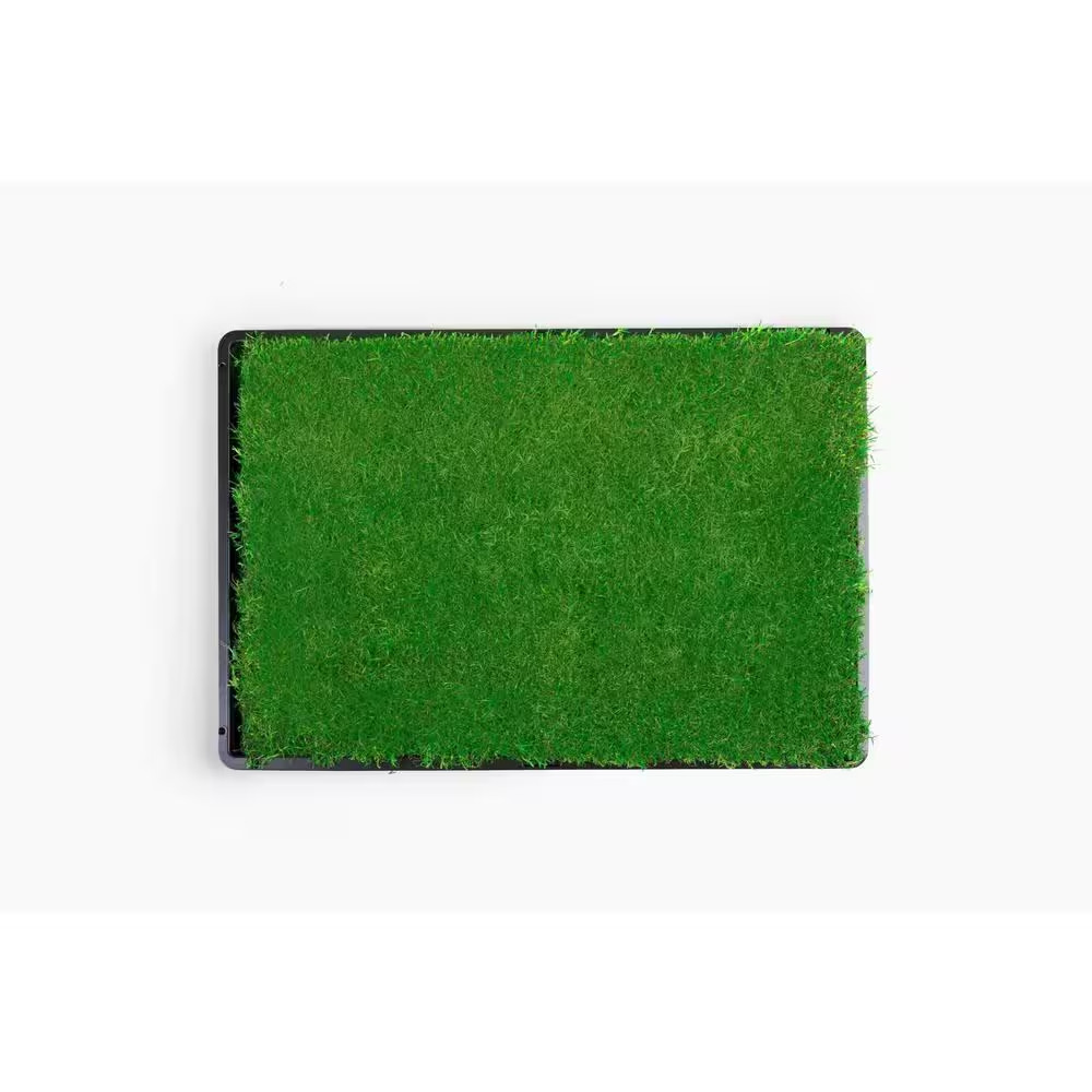 Gotta Go Grass with Tray