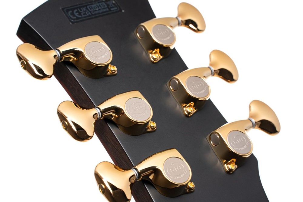 Cort Masterpiece Series Abstract Delta A/E Guitar With Case