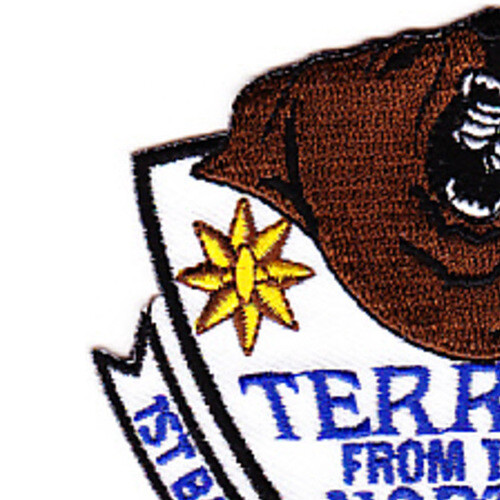 1st Battalion 24th Marine Patch